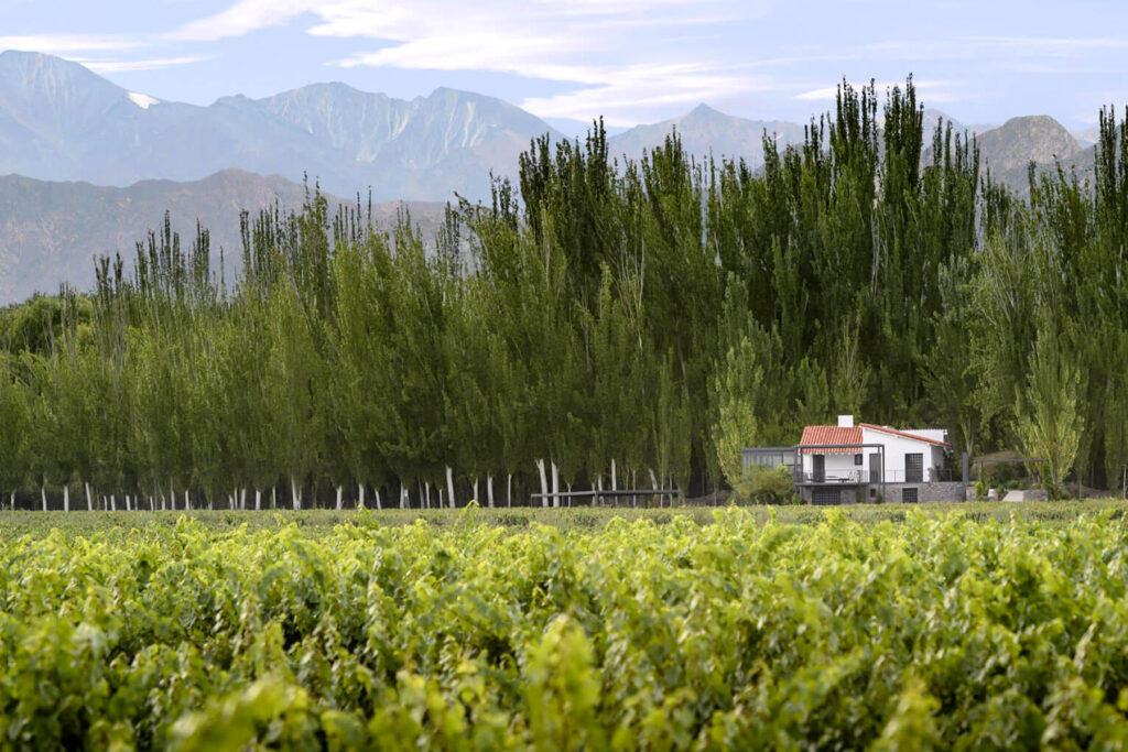 Bodega Finca Bandini